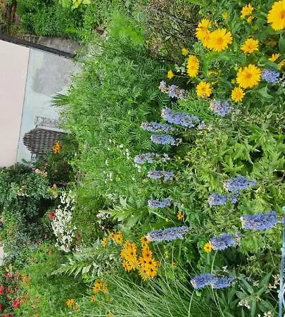 아파트 Naehe Red Bull Ring *